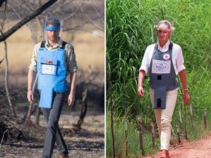 Supporting image for story