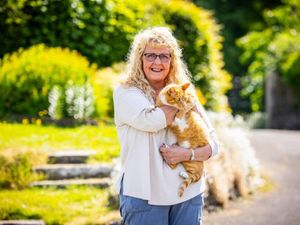 Supporting image for story: Llandrindod’s top cat has become the nation’s favourite feline too after being named the UK's cat of the year in a nationwide competition