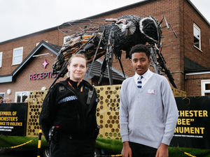 Supporting image for story: Shock and awe as Shropshire anti-violence sculpture sets school abuzz