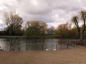 Supporting image for story: Man slashed with knife after gang attack in Kingswinford park