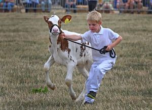 Minsterley Show 2025, celebrating the agricultural show's 150th year