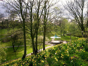 Supporting image for story: Community groups could benefit from company's environment grants