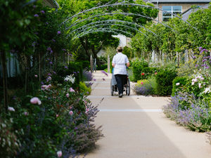 Supporting image for story: Garden like no other open to public for National Gardens Scheme