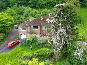 Supporting image for story: Video: See the unique reason that causes people stop in this pensioner's garden every year