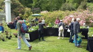 Plant Fair at Cholmondeley Castle Gardens
