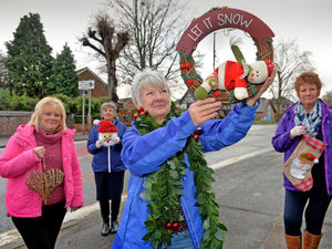 Supporting image for story: Donation helps bring Christmas cheer to high street