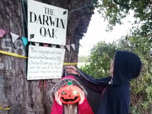Supporting image for story: Shrewsbury relief road opponents warn of 'Halloween horror' if route is given green light