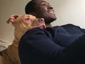 Supporting image for story: 'Like losing a child': £1,000 reward after dog stolen from Morrisons car park