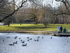 Supporting image for story: Wild owl found with avian flu on 'Shropshire border with north Staffordshire'