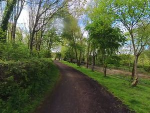 Supporting image for story: Man found dead at Tipton nature reserve