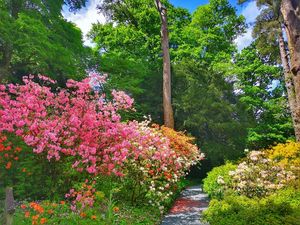 Supporting image for story: Open gardens, recipes and the Great British Garden Party fundraiser