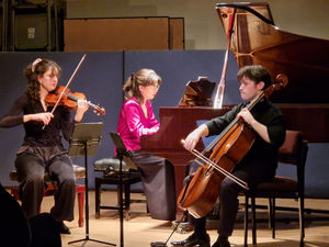 Supporting image for story: Review: Trio Archai thrill Newport audience at Cosy Hall