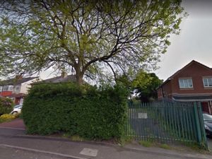 Supporting image for story: Protected tree sees homes plan for former Walsall storage yard rejected