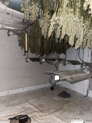 Police discovered a cannabis factory. Photo: @TettenhallWMP
