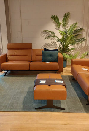 A Finger on the Pulse: Trends, Trade Shows and Team Insights