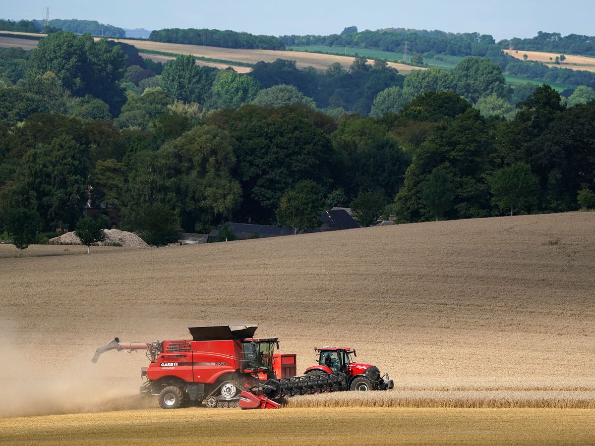 Thousands of farmers facing uncertainty over payments to protect nature