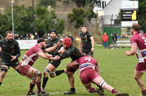 Action from Newport’s stunning 55-0 Midland Premier success at Bridgnorth   Pictures: Robert Nicholls/John Gittus