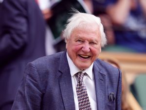 Supporting image for story: Sir David Attenborough and David Beckham among stars at Wimbledon