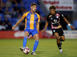 Supporting image for story: Dave Edwards: Encouraging signs for the Shrewsbury Town faithful