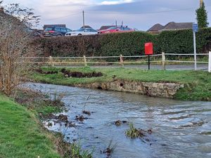 The brook as it appeared on December 29