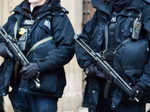 Firearms officers