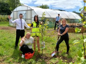Supporting image for story: Telford school's eco-tunnel regenerated thanks to pupils' hard work