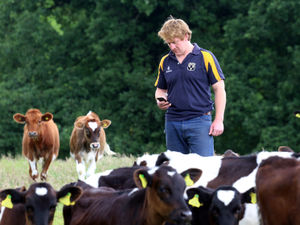 Supporting image for story: Radical changes to improve efficiency