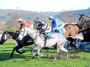 Supporting image for story: Today's horse racing at Ludlow is off