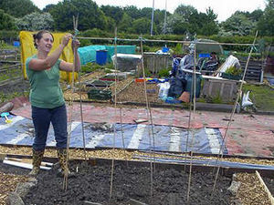 Supporting image for story: Allotment holders sharing a growing trend
