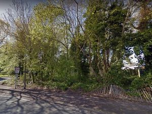 Supporting image for story: Wolverhampton 'dumping ground' to be transformed into homes site