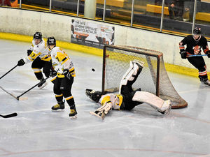 Supporting image for story: Telford Tigers urged to continue improving by Tom Watkins after double-header victory