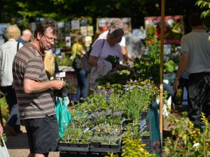 Supporting image for story: Bargains on offer at plant hunters' fair near Market Drayton