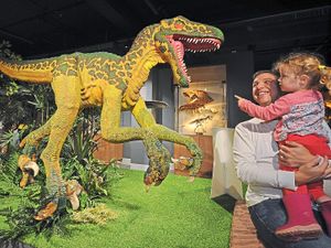 Supporting image for story: New Dudley museum declared a roaring success