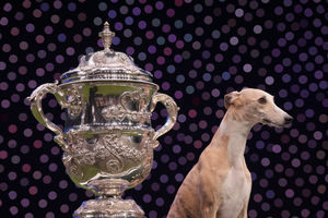 Whippet Miuccia was crowned the Best in Show at the prestigious dog competition