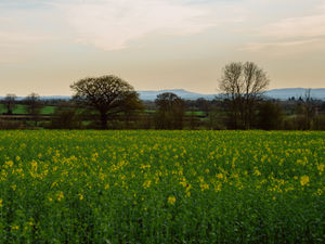 Supporting image for story: West Midlands green belt shrinks slightly - but it's still the second biggest in the country