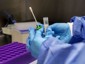 Supporting image for story: Drug that could tackle Omicron variant approved by UK regulators