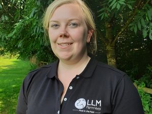 Supporting image for story: Shropshire farmers warned to stay vigilant over cases of summer mastitis