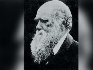 Supporting image for story: We're cynical and we're not ashamed to show it