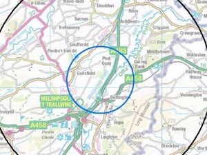 Supporting image for story: Bird flu zones in Mid Wales and on Shropshire border