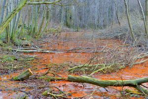 The orange-coloured stream The Serpentine, in Hadley