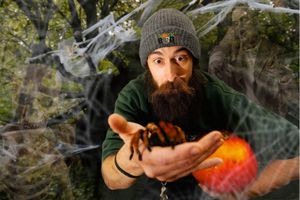 The woods will become haunted this Halloween