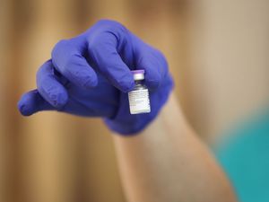 Supporting image for story: Single dose of Pfizer vaccine generates strong immune response, study shows