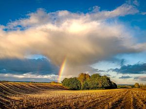 Supporting image for story: Shropshire in 2023: A year in your Instagram pictures