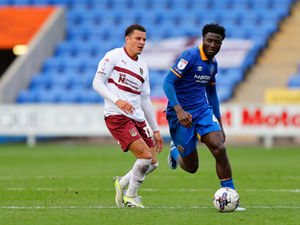 Supporting image for story: Shrewsbury Town boss Matt Taylor: I would change international call-up rules