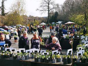 Supporting image for story: Popular plant fair returns