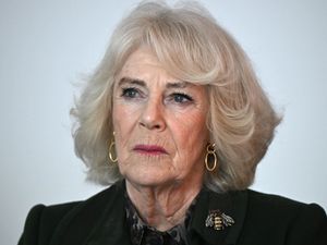 Supporting image for story: Camilla fought off indecent assault attacker with her shoe, book reveals