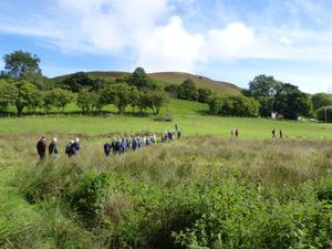Tylcau Hill, which is another of Radnorshire Wildlife Trust’s reserves