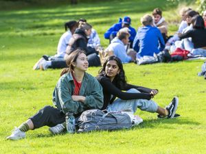 Supporting image for story: 'Fat cats sit at top of food chain' - Your Letters: January 4