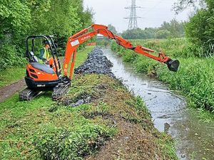 Supporting image for story: See how one canal is being transformed as dozens of weeds are dug up