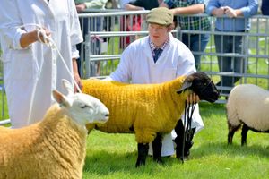 Burwarton Show